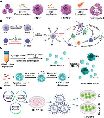 Opportunities and challenges of natural killer cell-derived extracellular vesicles